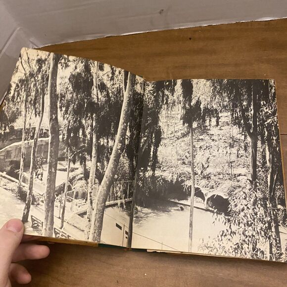 At The Zoo By Cole Merris 1941 - Picture 5 of 12